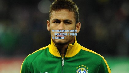 归化球员再成热议焦点，中国男篮的十字路口与未来抉择