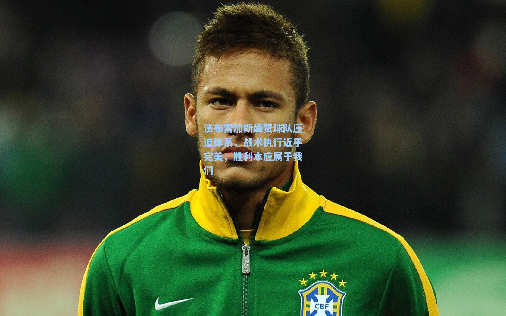 法布雷加斯盛赞球队压迫体系，战术执行近乎完美，胜利本应属于我们